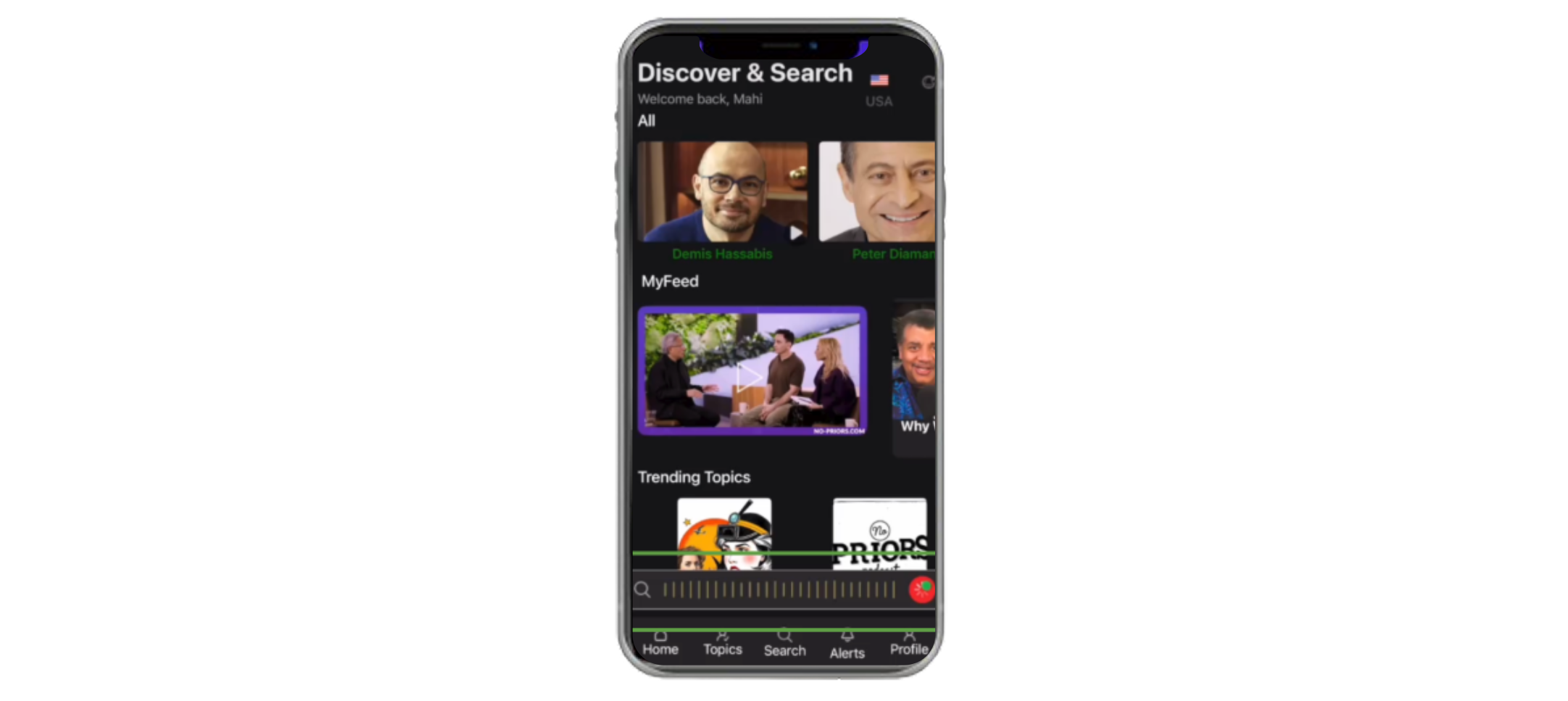 Friday voice assistant mobile interface